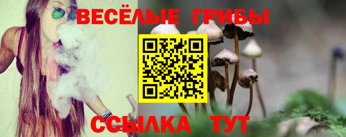 Псилоцибиновые грибы мицелий Нурлат